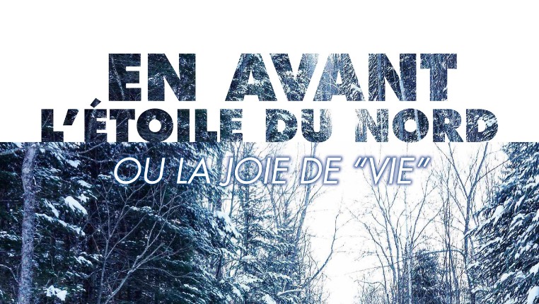 Affiche du film En Avant l'Étoile du Nord